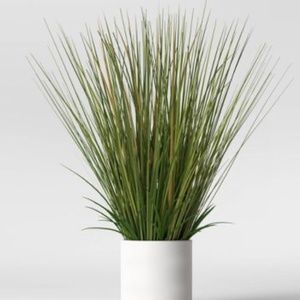 (2) 25” Artificial Onion Grass Arrangement in Ceramic Pots